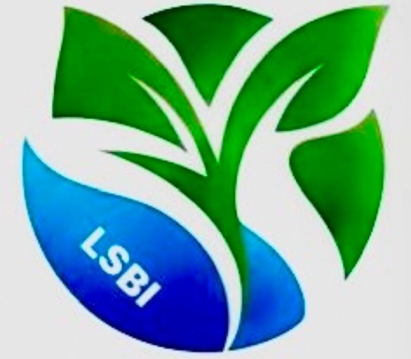 Empowering your financial future with unparalleled security measures.LSBI